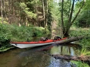 Muggen in Zweden Marcopolo Adventures Visvakanties